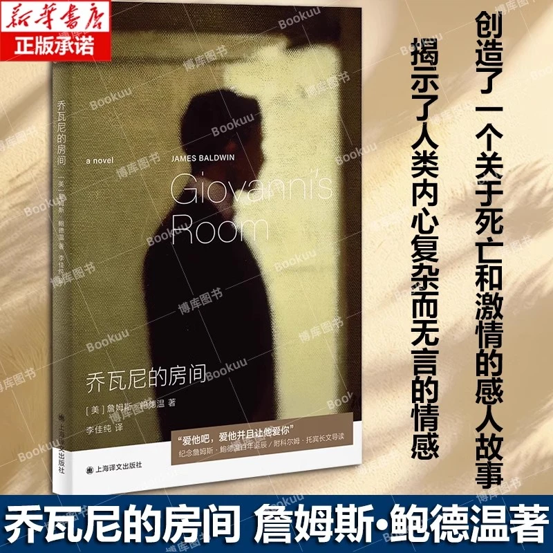 乔瓦尼的房间 詹姆斯·鲍德温著 李佳纯译 外国小说新华正版