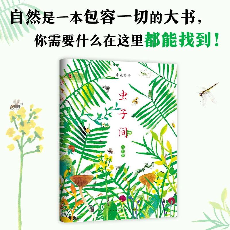 虫子间 少儿版 世界ZUI美的书得主朱赢椿作品 儿童文学课外阅读书