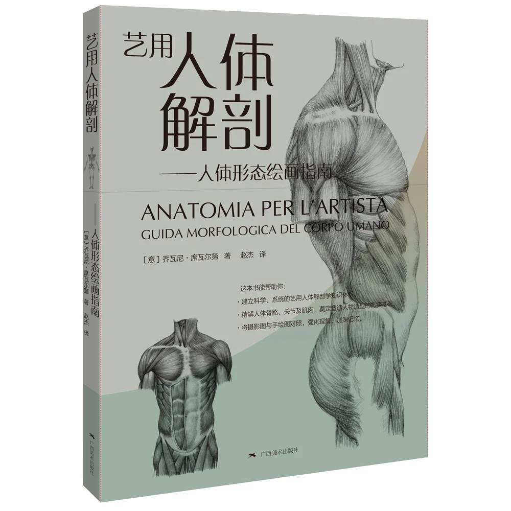 【博库】艺用人体解剖——人体形态绘画指南