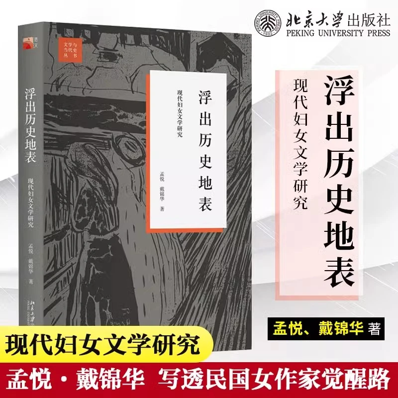 浮出历史地表 现代妇女文学研究 戴锦华 文学与当代史丛书理论