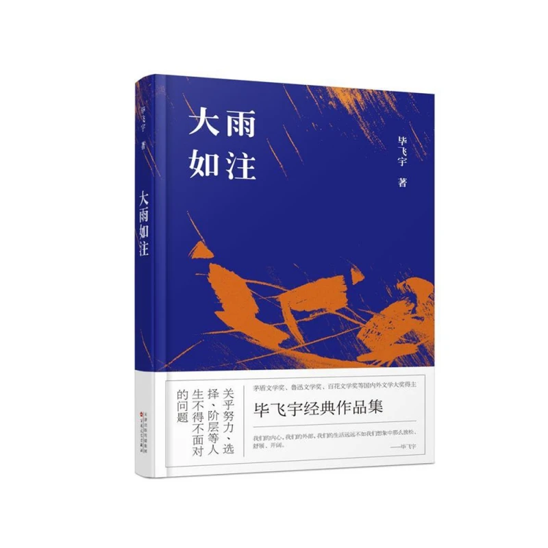 博库 大雨如注 书籍 正版图书推荐 百花文艺出版社