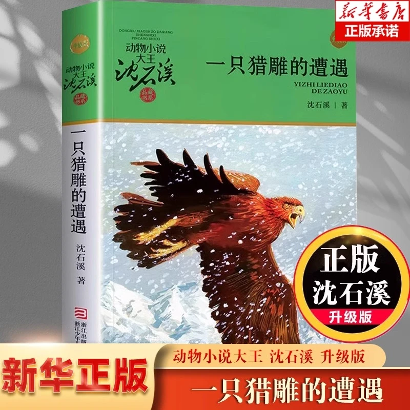 一只猎雕的遭遇(升级版)/动物小说大王沈石溪品藏书系