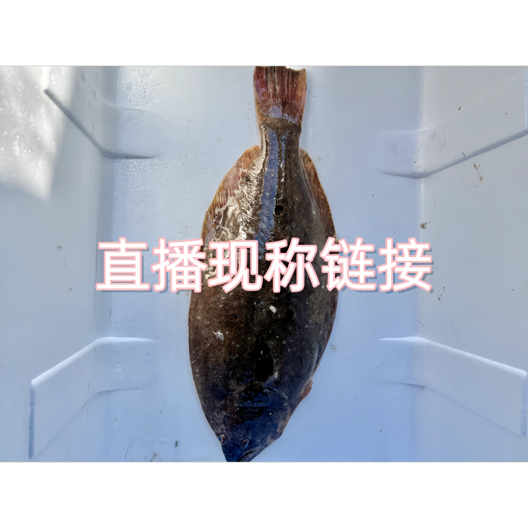 【大鸦片鱼4斤以上直播现称】大连渤海湾深海鸦片鱼鲽鱼