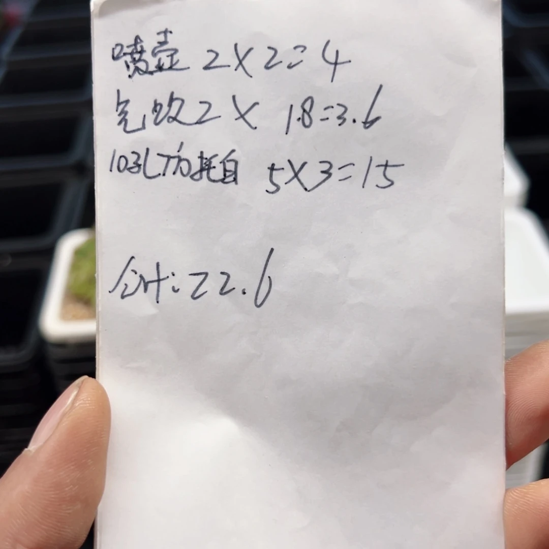 霧**岚759号多品种组合
