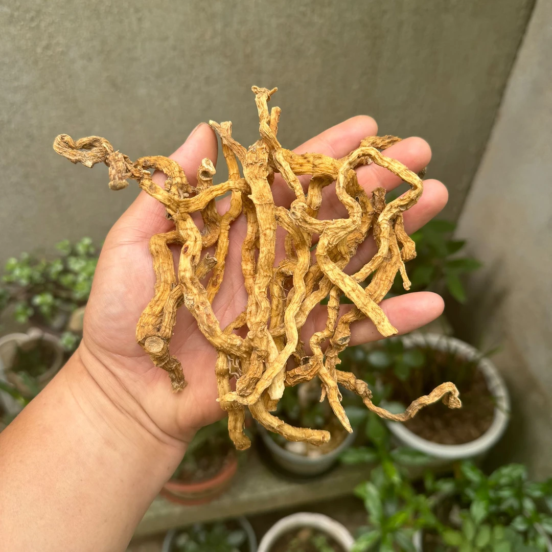 干货玉竹条250g大别山野生玉竹干条自然晒干食用炖煮煲汤