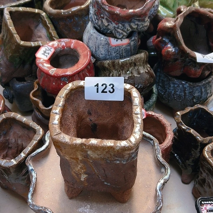 红陶20CM（含）-50CM（不含）