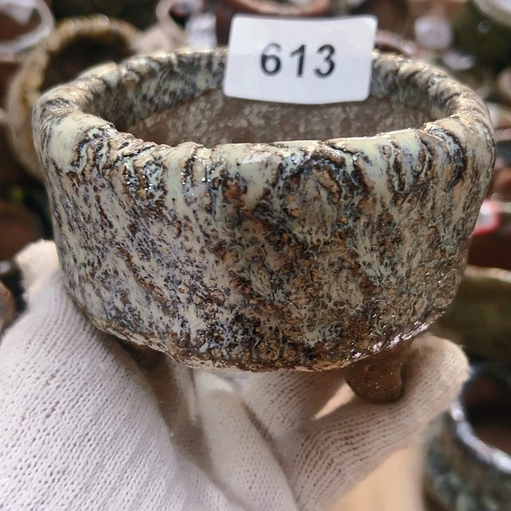 红陶20CM（含）-50CM（不含）随*