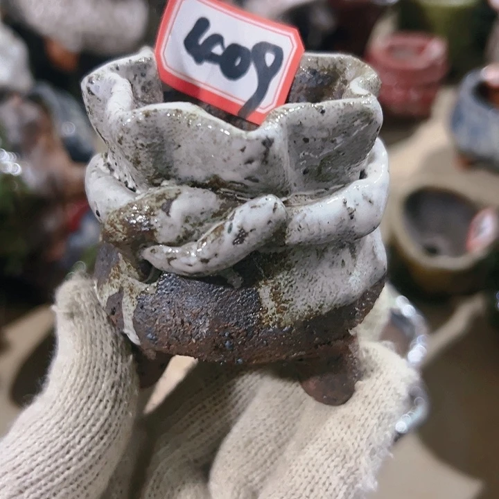 红陶20CM（含）-50CM（不含）