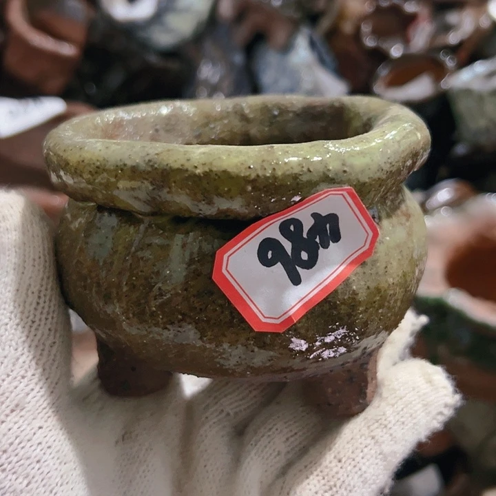 红陶20CM（含）-50CM（不含）曼**依