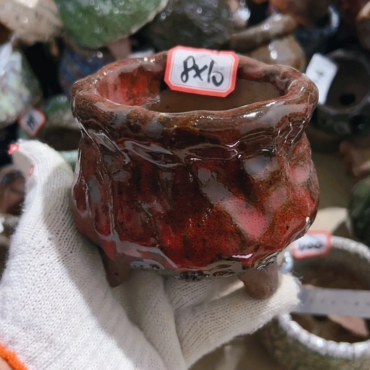 红陶20CM（含）-50CM（不含）