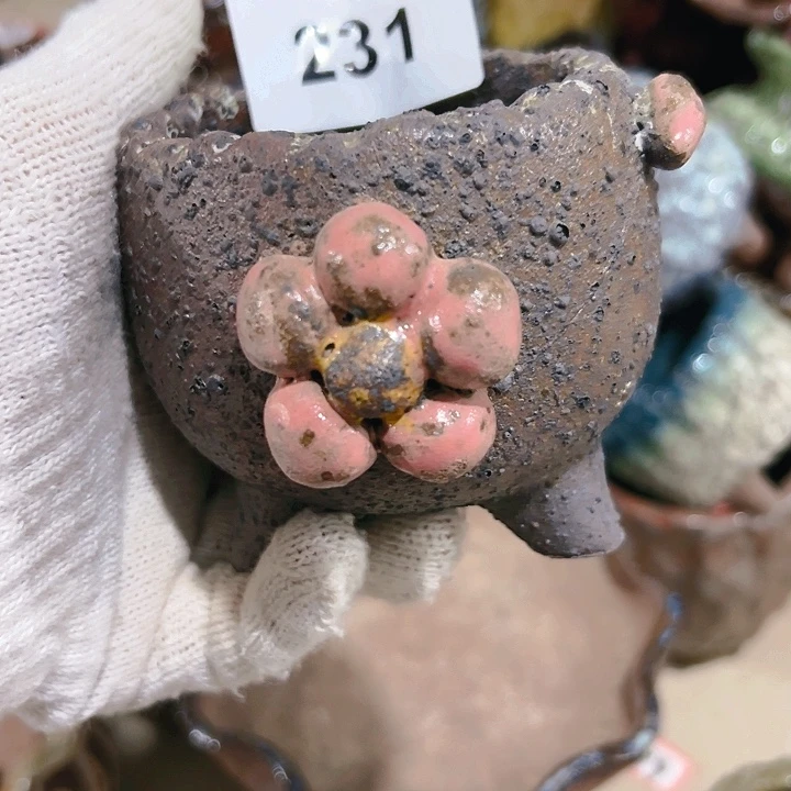 红陶20CM（含）-50CM（不含）