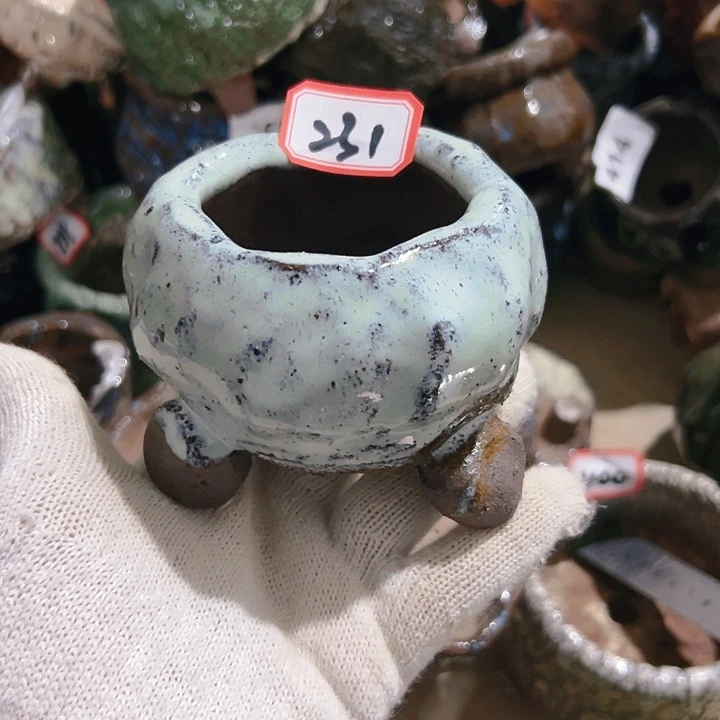 红陶20CM（含）-50CM（不含）