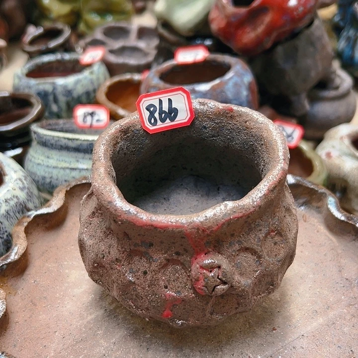 红陶20CM（含）-50CM（不含）