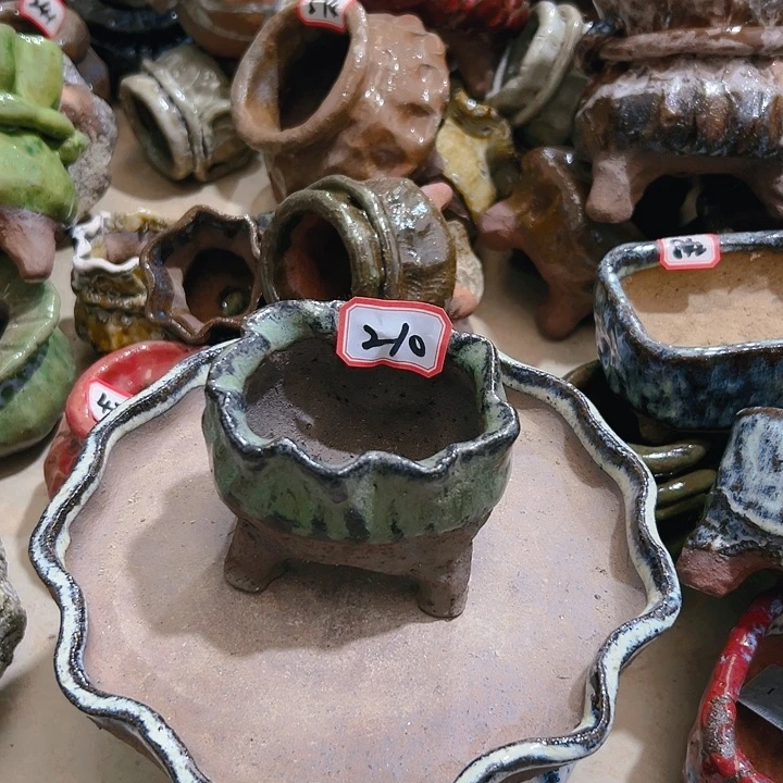 红陶20CM（含）-50CM（不含）