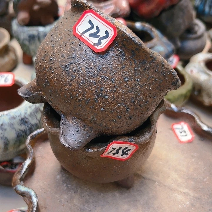 红陶20CM（含）-50CM（不含）(****Q