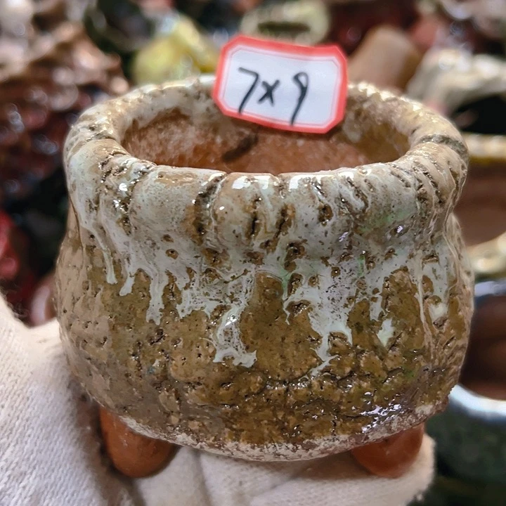 红陶20CM（含）-50CM（不含）