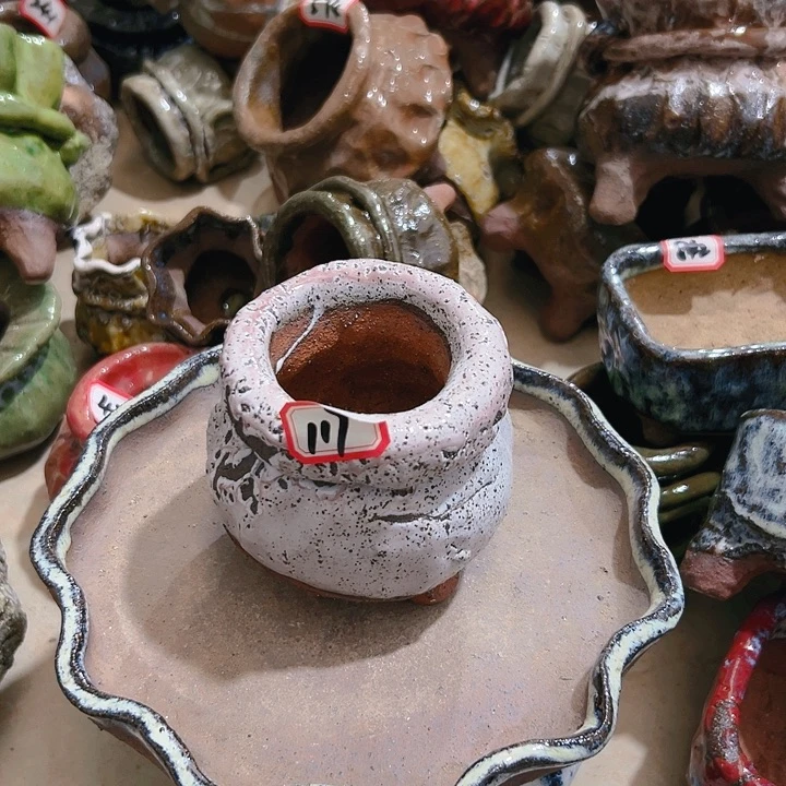 红陶20CM（含）-50CM（不含）