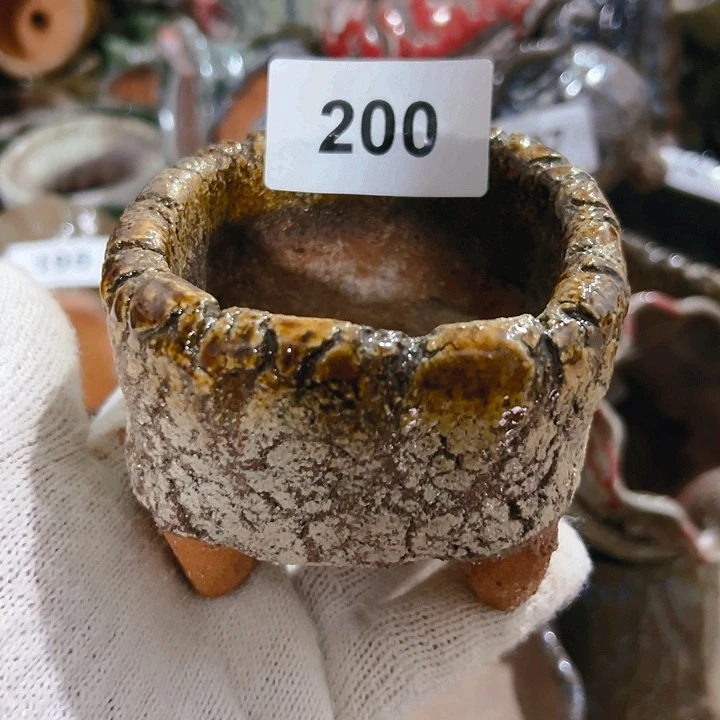 红陶20CM（含）-50CM（不含）