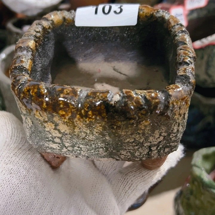 红陶20CM（含）-50CM（不含）