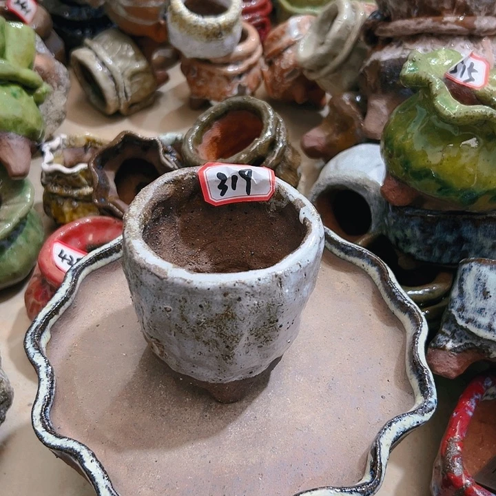 红陶20CM（含）-50CM（不含）