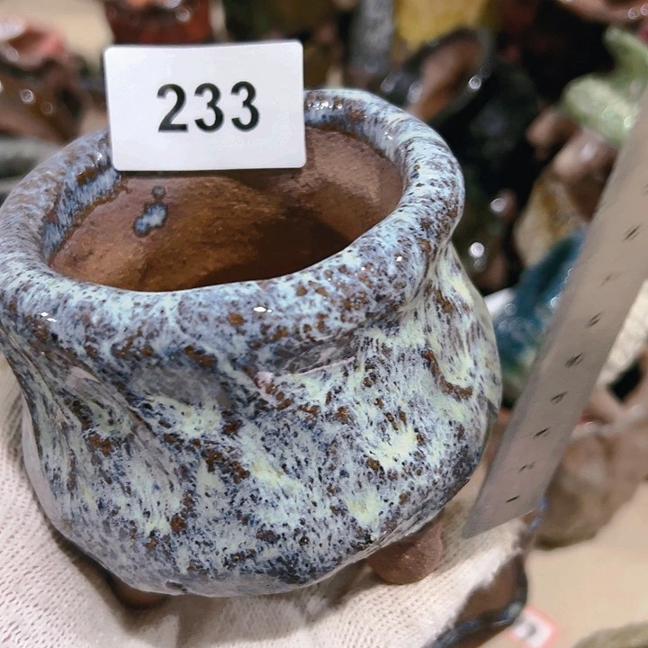 红陶20CM（含）-50CM（不含）?****?