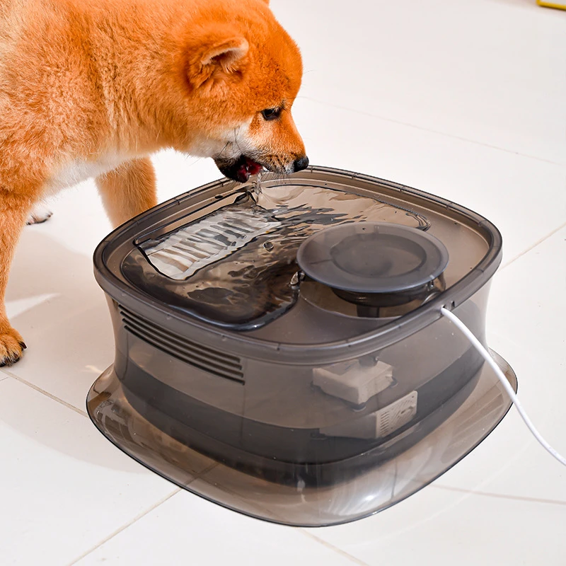 宠物智能饮水机大容量5L自动饮水机狗狗猫咪通用活水过滤静音包邮