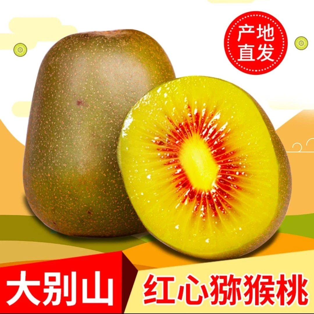 （礼盒装中果）岳西县古坊2025年新品红心猕猴桃奇异果
