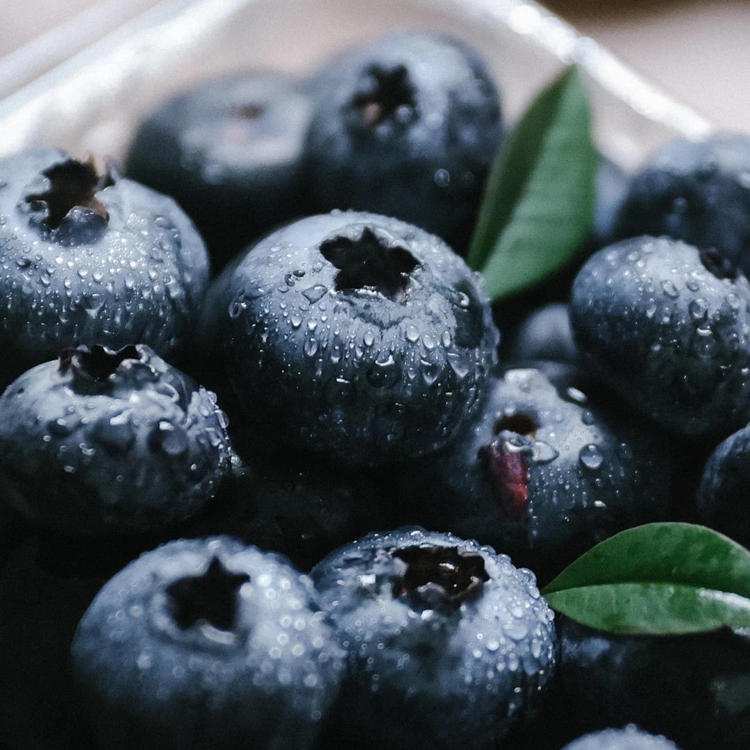 3号后发云南高山花香蓝莓 甜脆花香十足蓝莓新鲜水果晨采午发顺丰