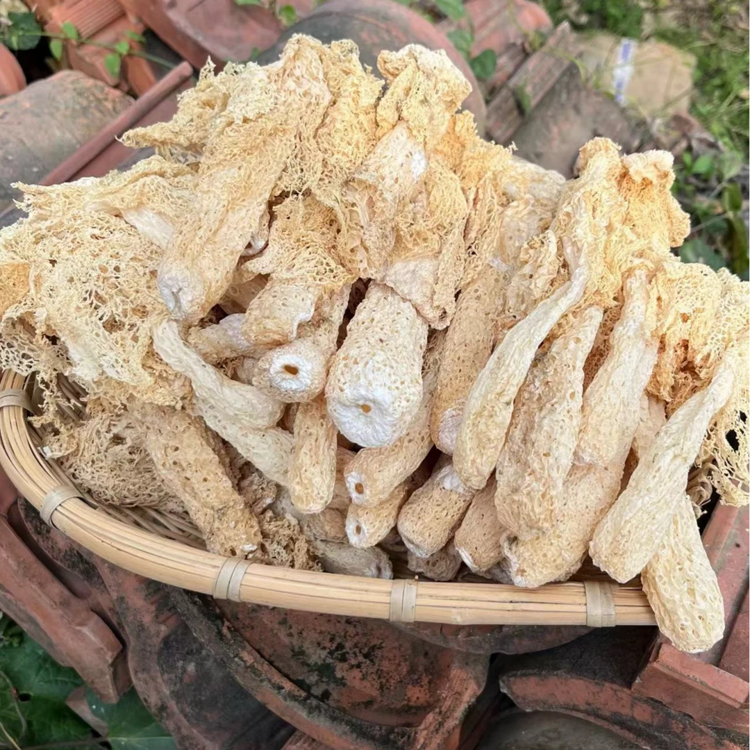 现收秦岭农家山货竹荪