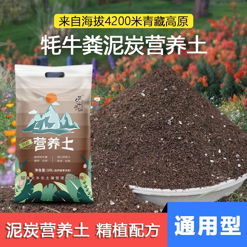 通用型泥炭营养土盆栽花卉养花种菜土多肉土绿植花有机土壤营养土