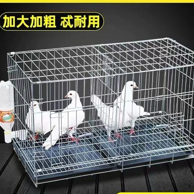 包邮鸽子笼折叠养殖笼鸽子配对笼白鸽子笼家用鸽子用品鸡笼鸽子窝