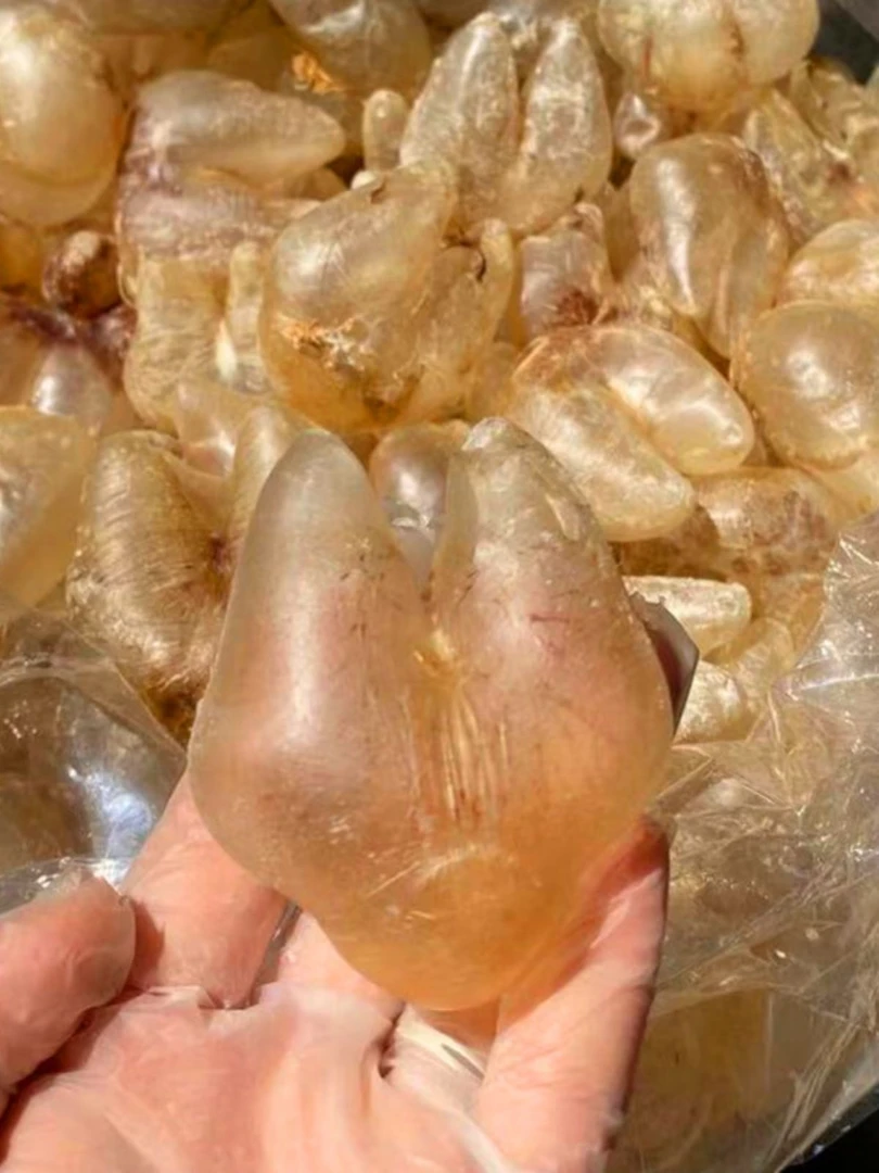 深海鸡泡胶精选品质肉厚饱满滋补鱼胶干货