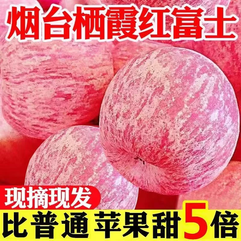 新店半价10斤正宗山东烟台栖霞红富士苹果应季水果新鲜1/5/10斤