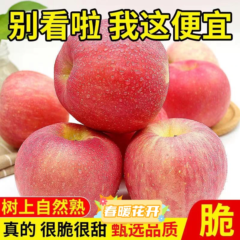 冰糖心苹果精选新苹果苹果糖心苹果新鲜水果红富士正宗红苹果水果