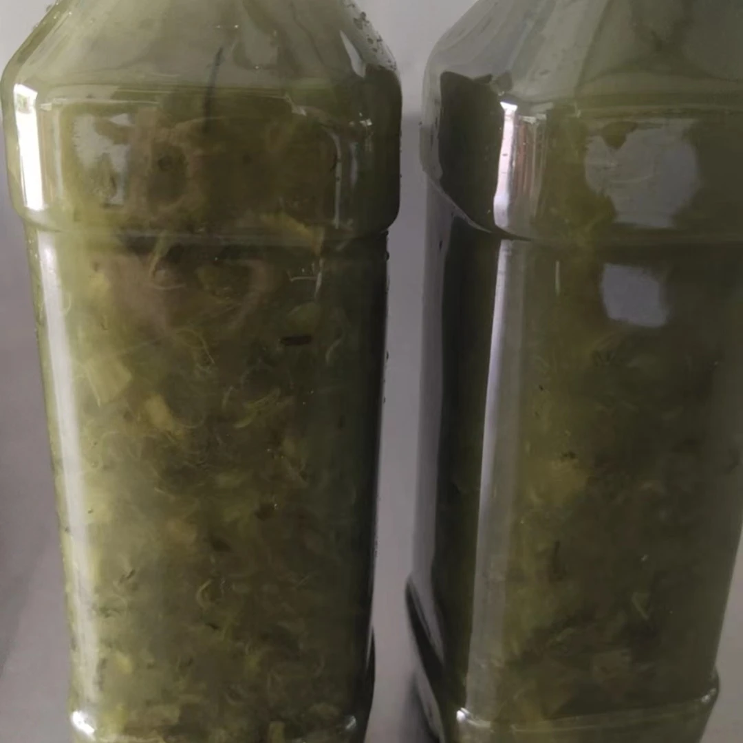 臭小菜汤新鲜蔬菜包邮500g*2下饭菜农家小菜高杆味道美味无添加