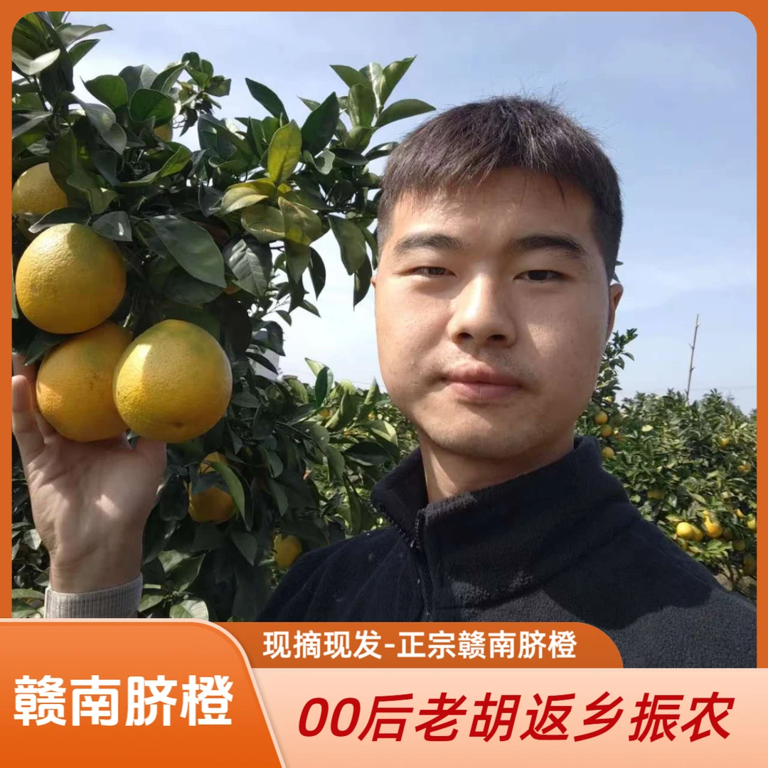 【老胡专属】采摘正宗赣南脐橙 香甜爆汁礼盒装 11.3号现摘现发