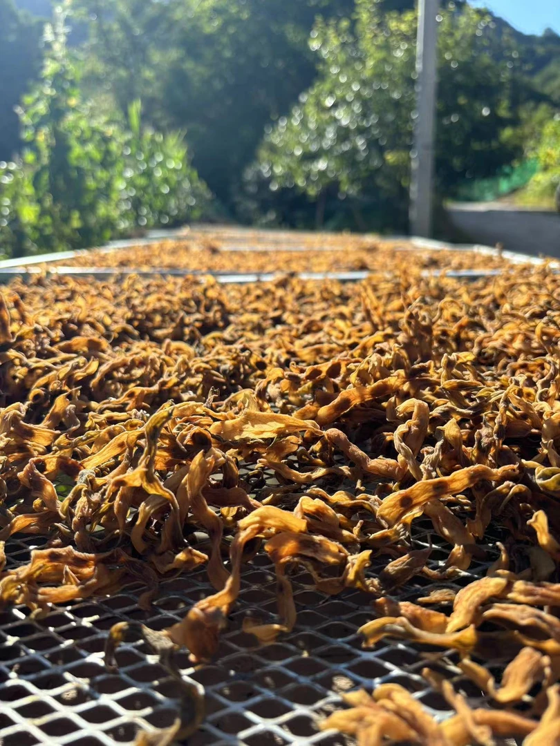 高山土特产干四季豆（现称现拍）