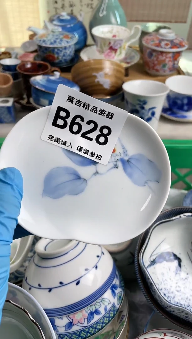 【闪购商品】瓷瓷片628