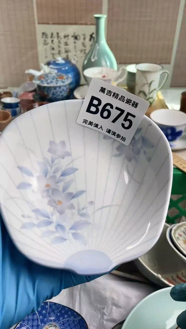 【闪购商品】瓷瓷片675