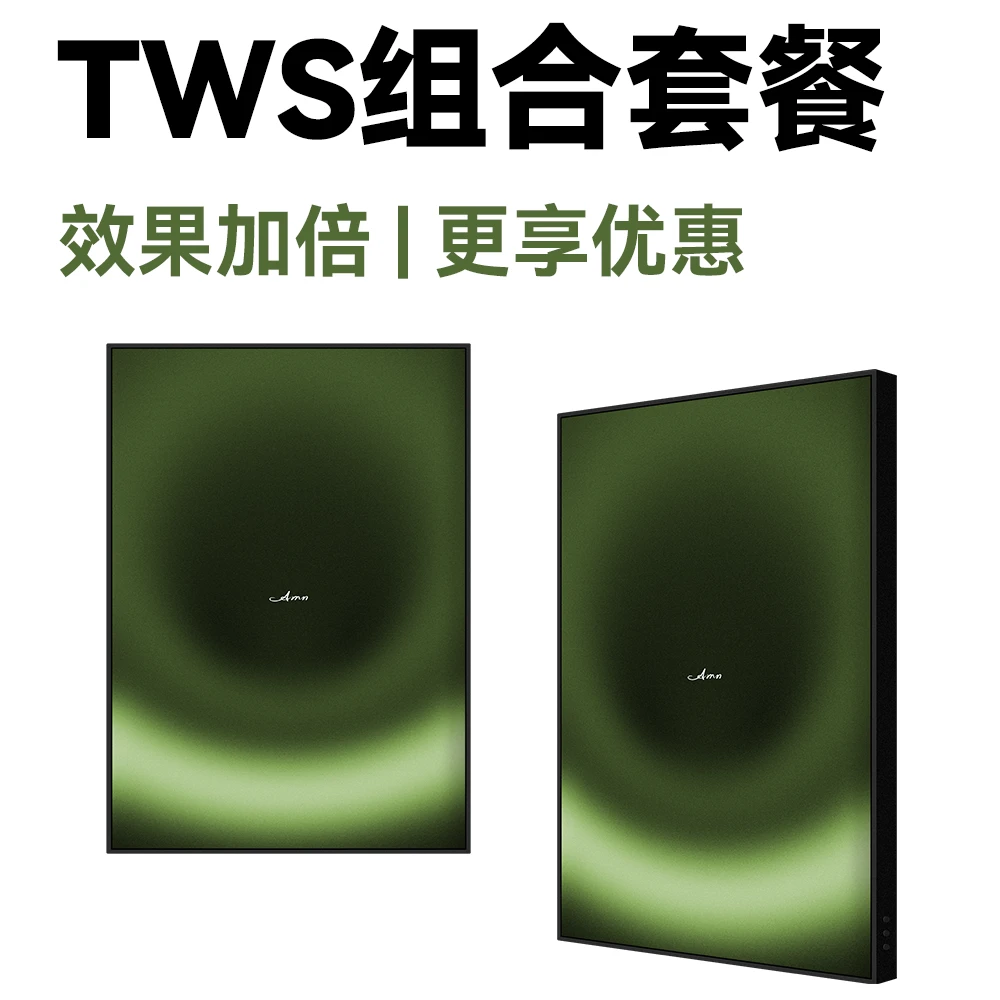 阿米纳X1 Pro 隐形艺术音响 DML技术 TWS组合 生日礼物 艺术摆件