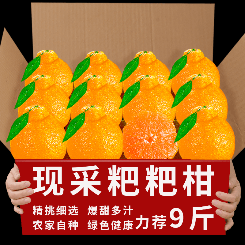 【小扬哥推荐】四川特级春见耙耙柑9斤新鲜粑粑柑橘子甜当季整箱