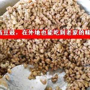 黔西豆食贵州毕节黔西特产湿豆豉颗炒菜火锅底料新鲜豆豉颗500克