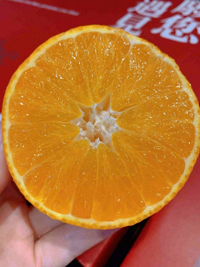 爱媛果冻橙/新鲜橙子10斤