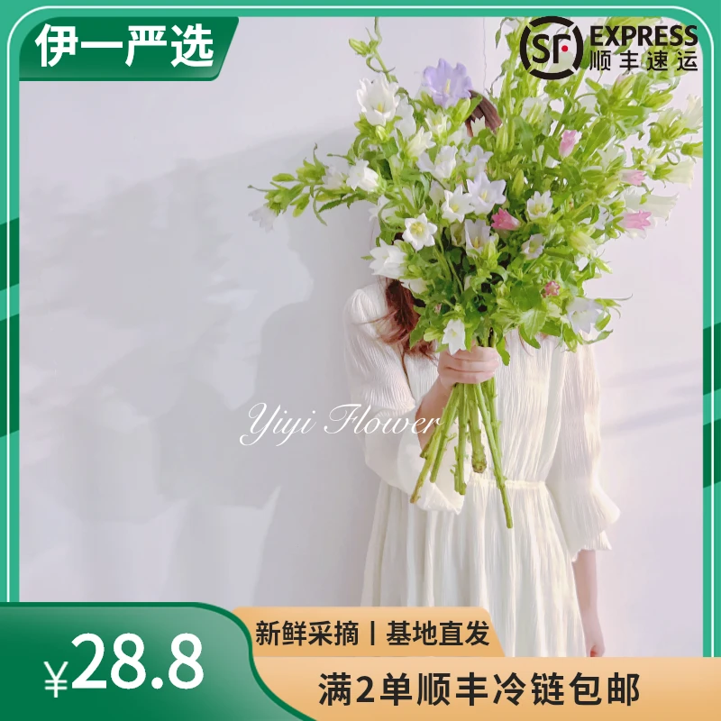 鲜花【伊一严选风铃花】全店单品满2顺丰包邮鲜花基地直发易养护