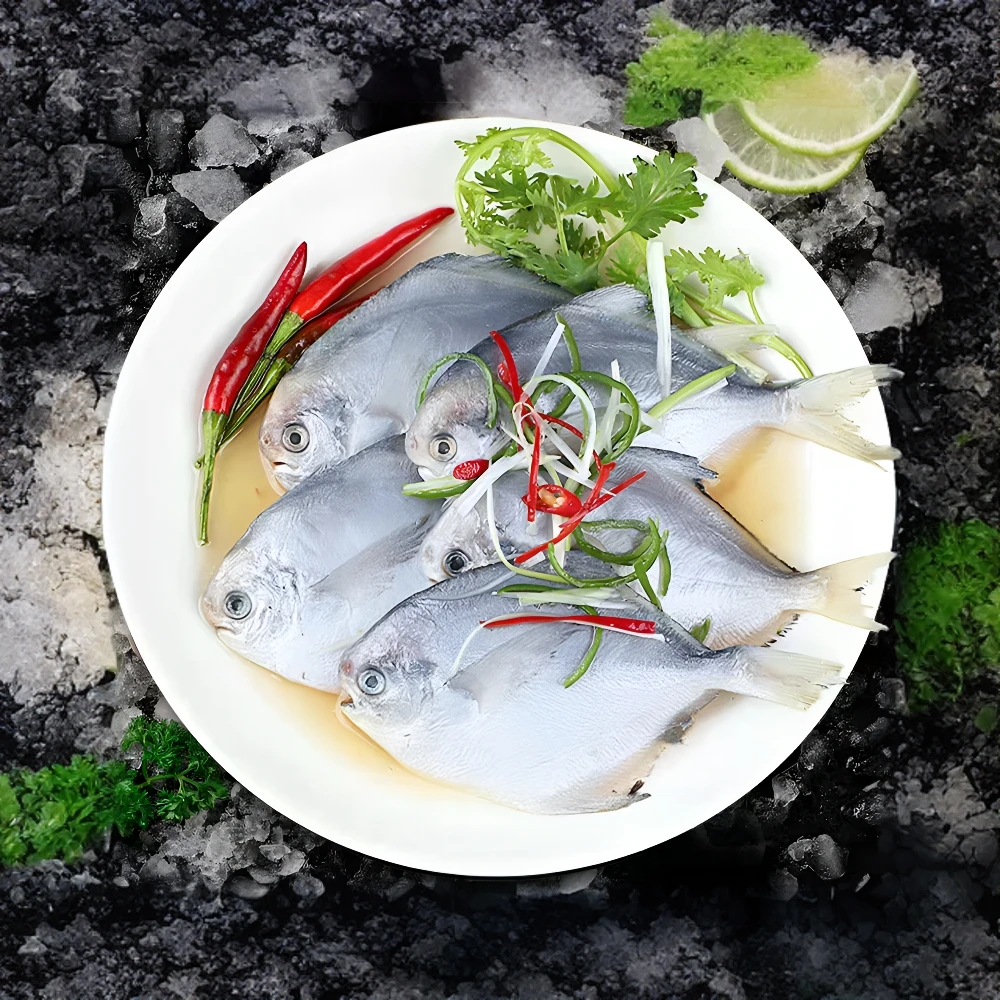 【青岛本地野捕银鲳鱼】一斤8~10条，净重3斤鲜活速冻，顺丰冷链包邮