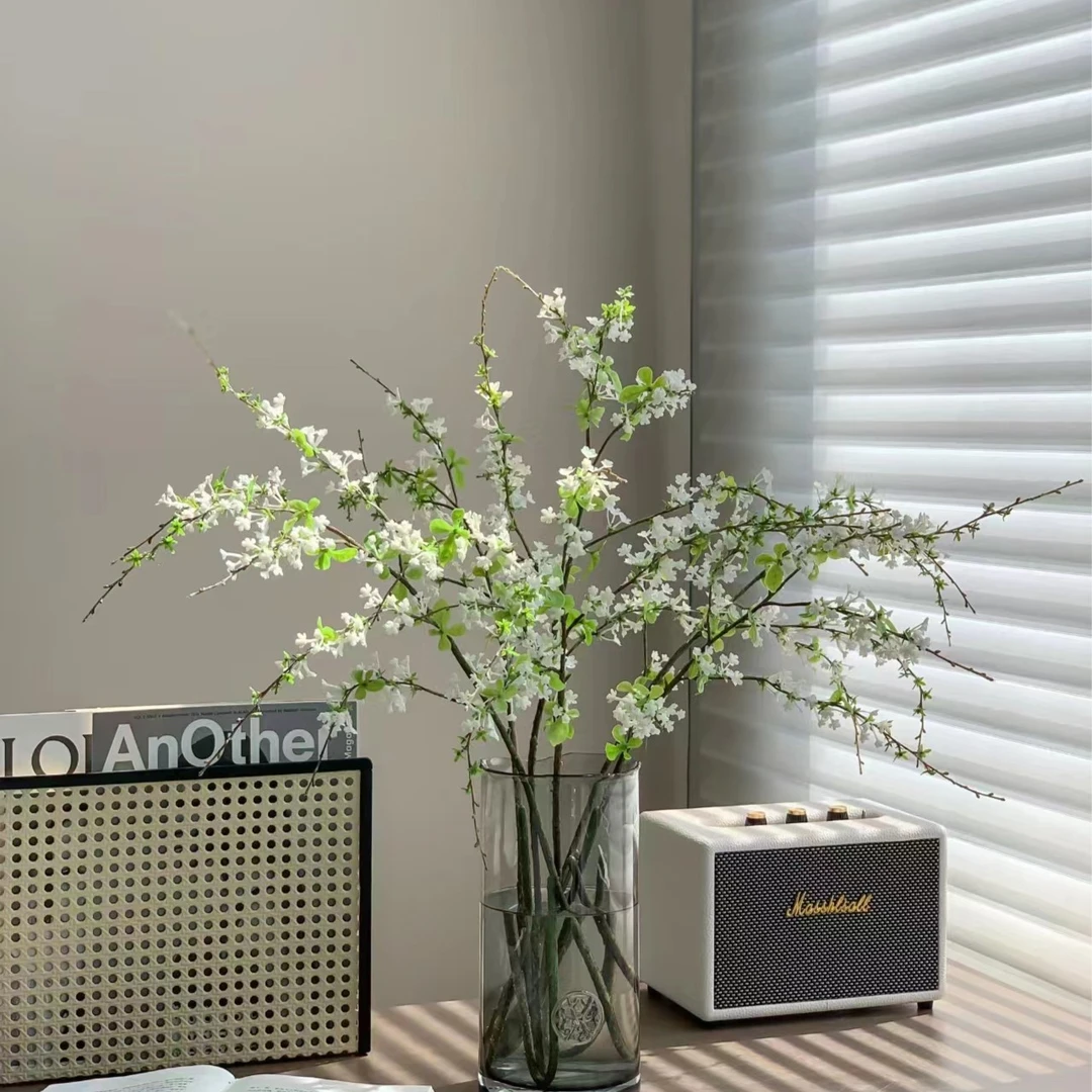 【植迷专属】雪柳鲜枝雪柳爆花机器带芽发货遇水就活插花插花美观美