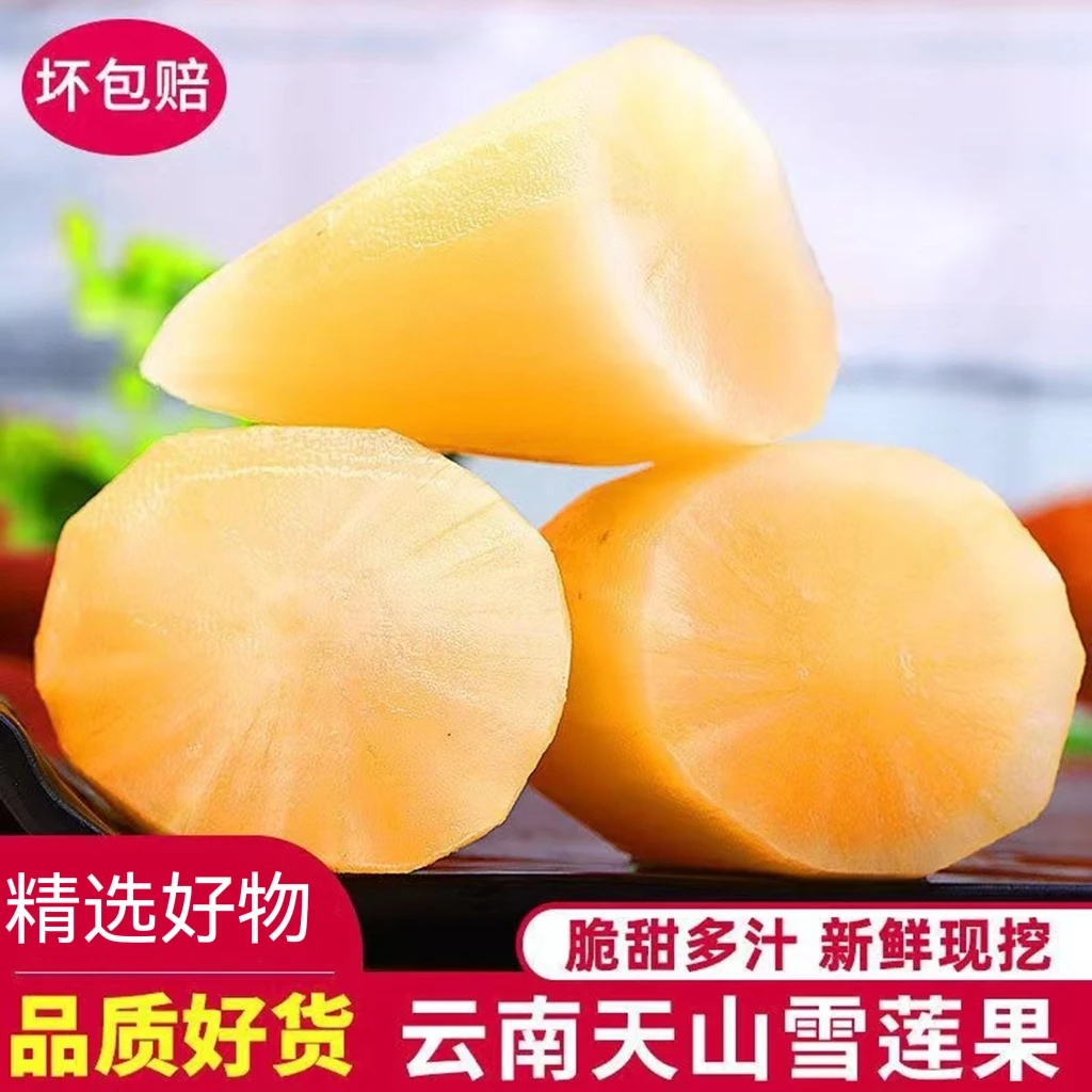 X【拍5送4】海拔2800米云南天山雪莲果3/5/9斤脆甜多汁皮薄肉厚