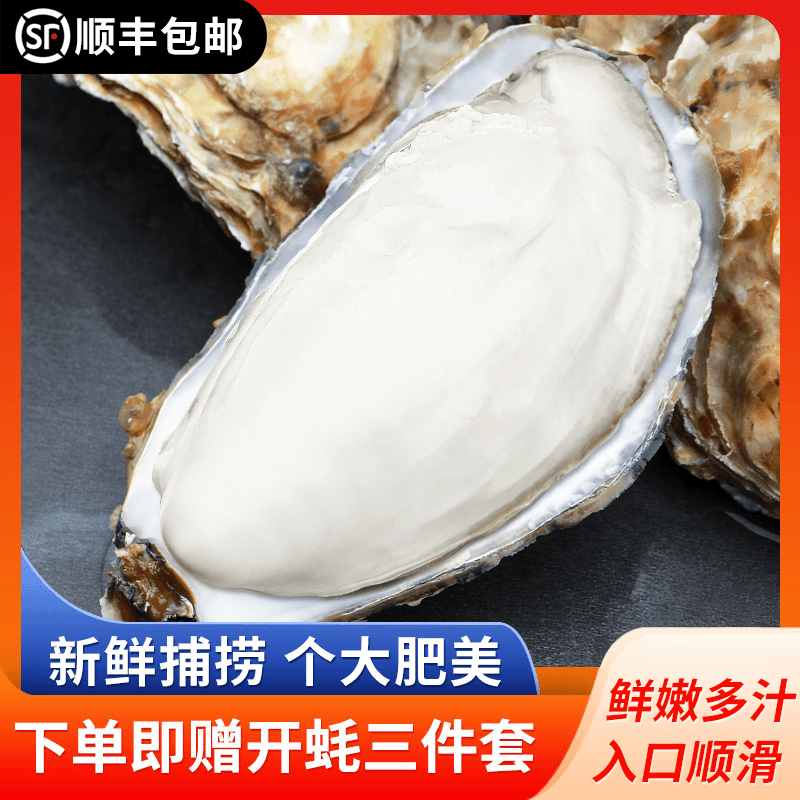 【生蚝五斤畅吃】（冷链包邮）原产地直发正宗鲜活乳山生蚝新鲜海鲜
