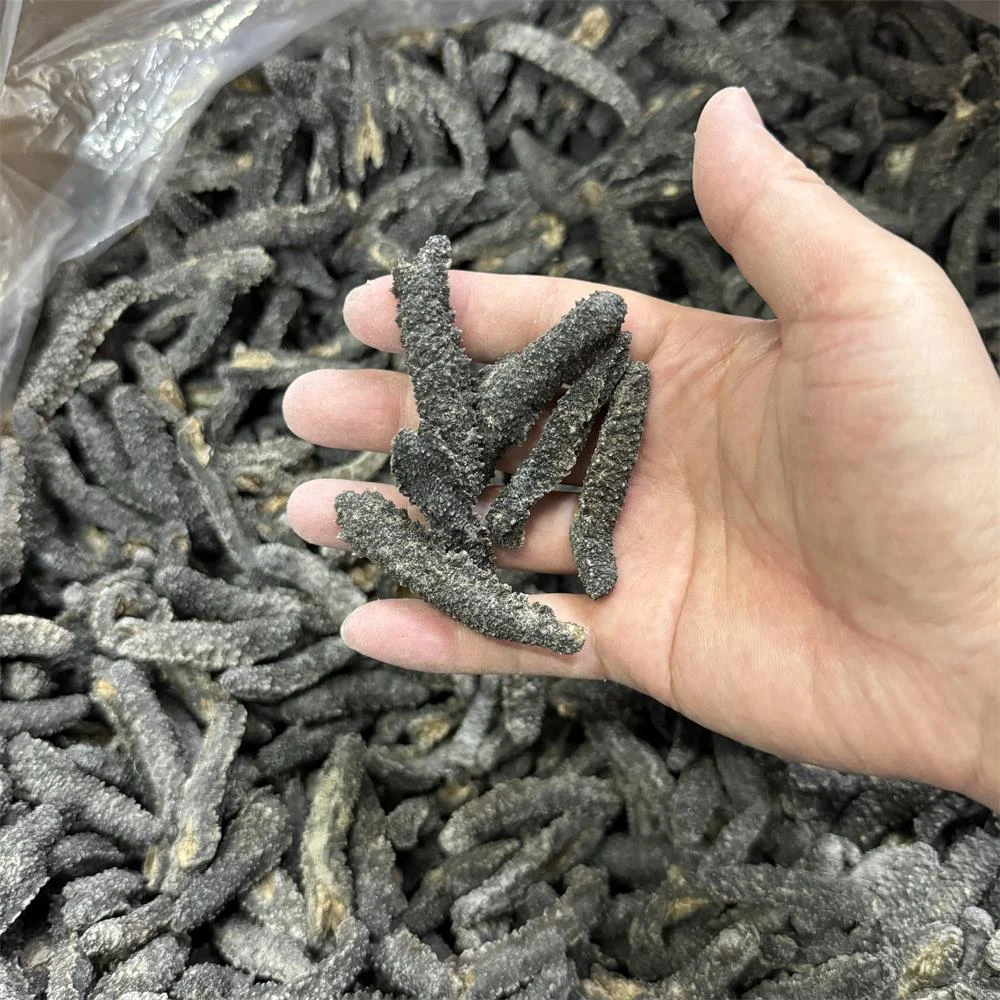 淡干刺秃参小刺参干货煲汤250g/500g