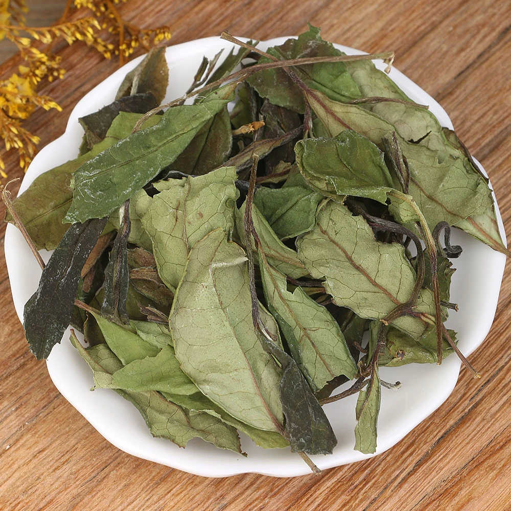 孚瑞桂荒野贡眉52225基地小白03 2022年荒野菜茶老枞内质丰富
